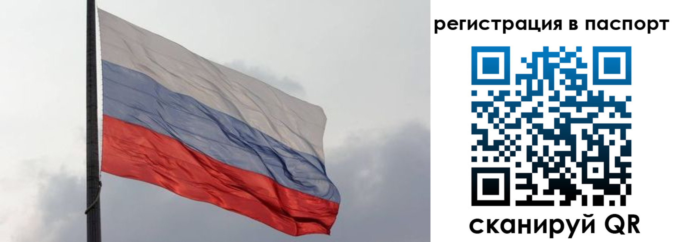 прописка для школы в Фрязино